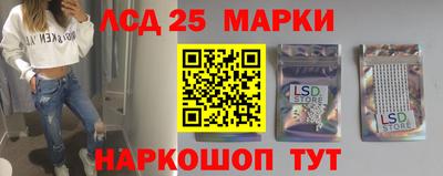 амф Камышлов