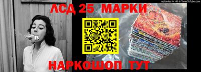 амф Камышлов
