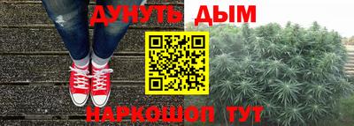 Альфа ПВП Канаш